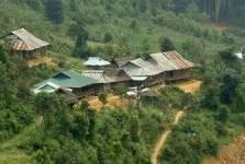 Hình ảnh