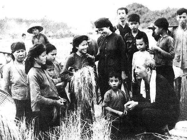 Hình ảnh